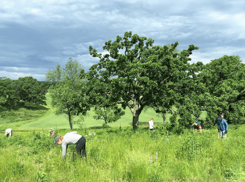 prairie partners