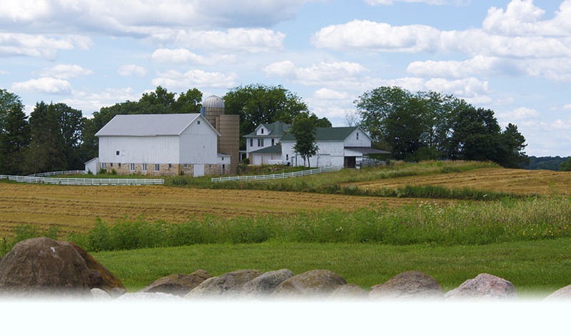 fadeBarns from Rock Wal1l800