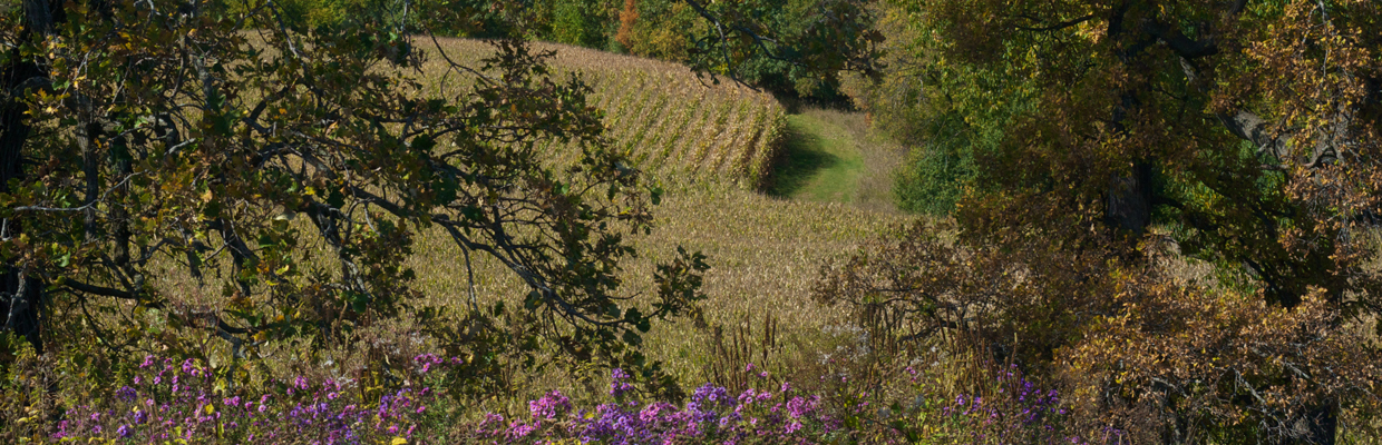 Slideshow Prairie and Crop