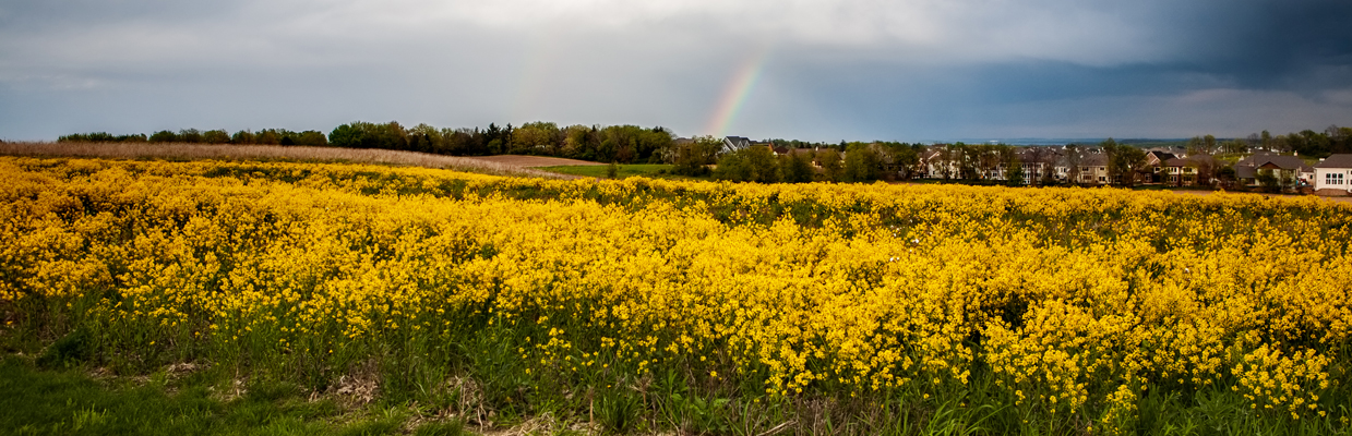 Slideshow rainbow-prairie