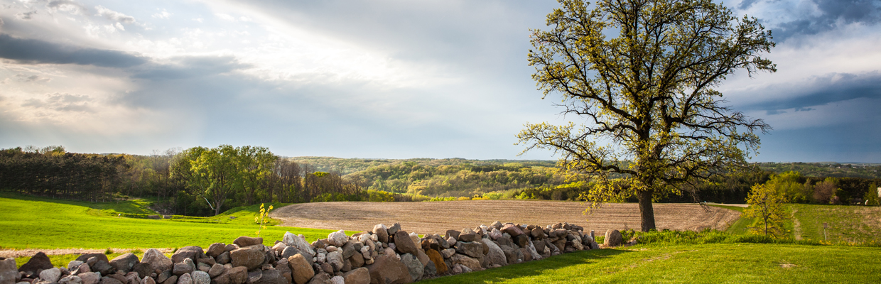 stone fence