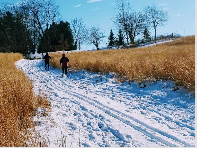 Winter Walk - Friends of Pope Farm Conservancy