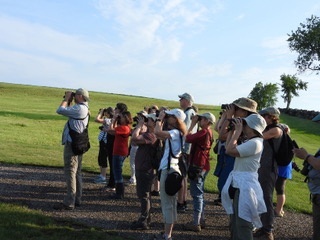 birding-300dpi-jane ilgen