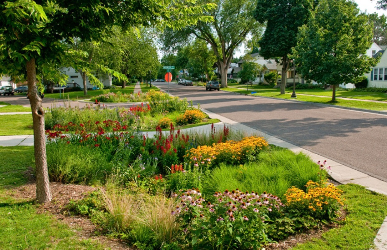 rain garden talk