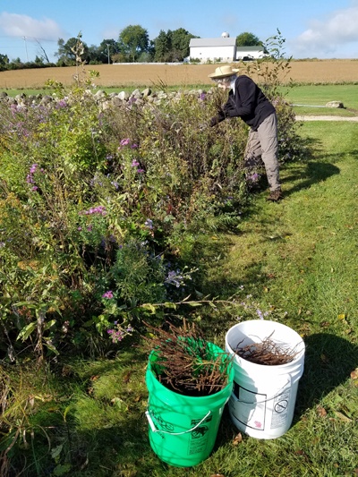 prairie-work-days