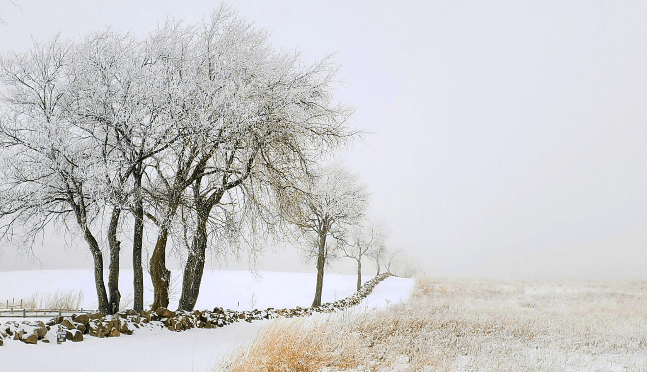 Dan Thoftne – Rime Frost At Its Best – Pope Farm Conservancy