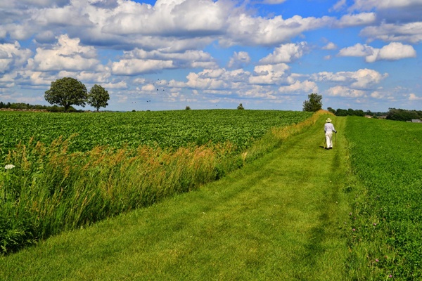 man walking-web