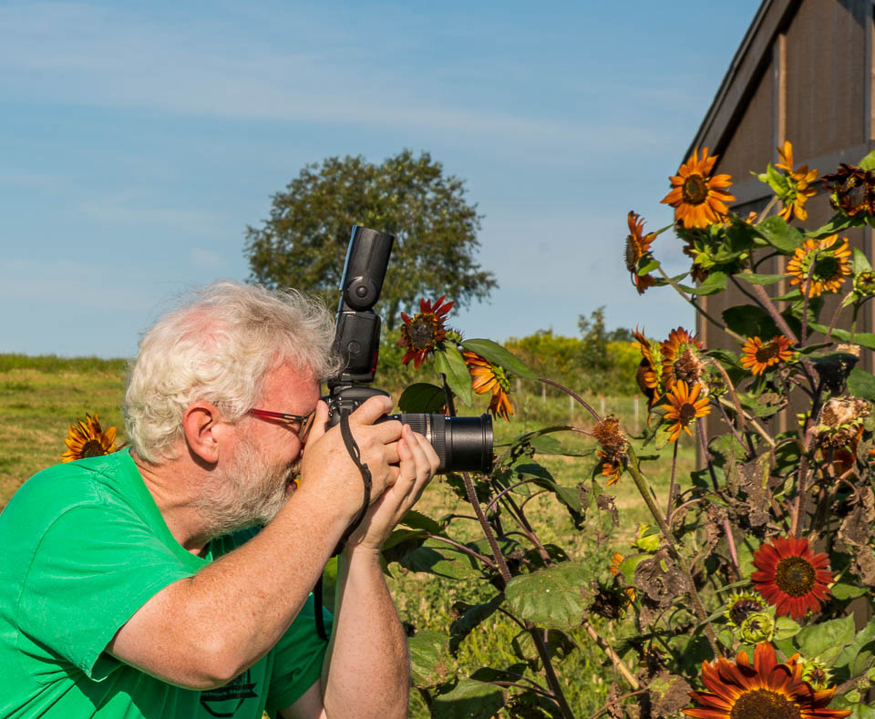 James Thornbery, Pope Farm -8