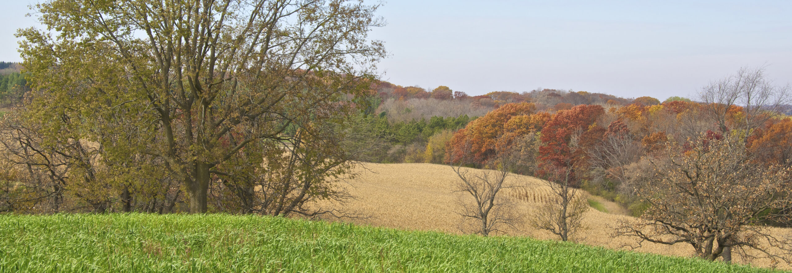 Landscape-in-Fall-banner