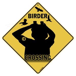 birding-graphic