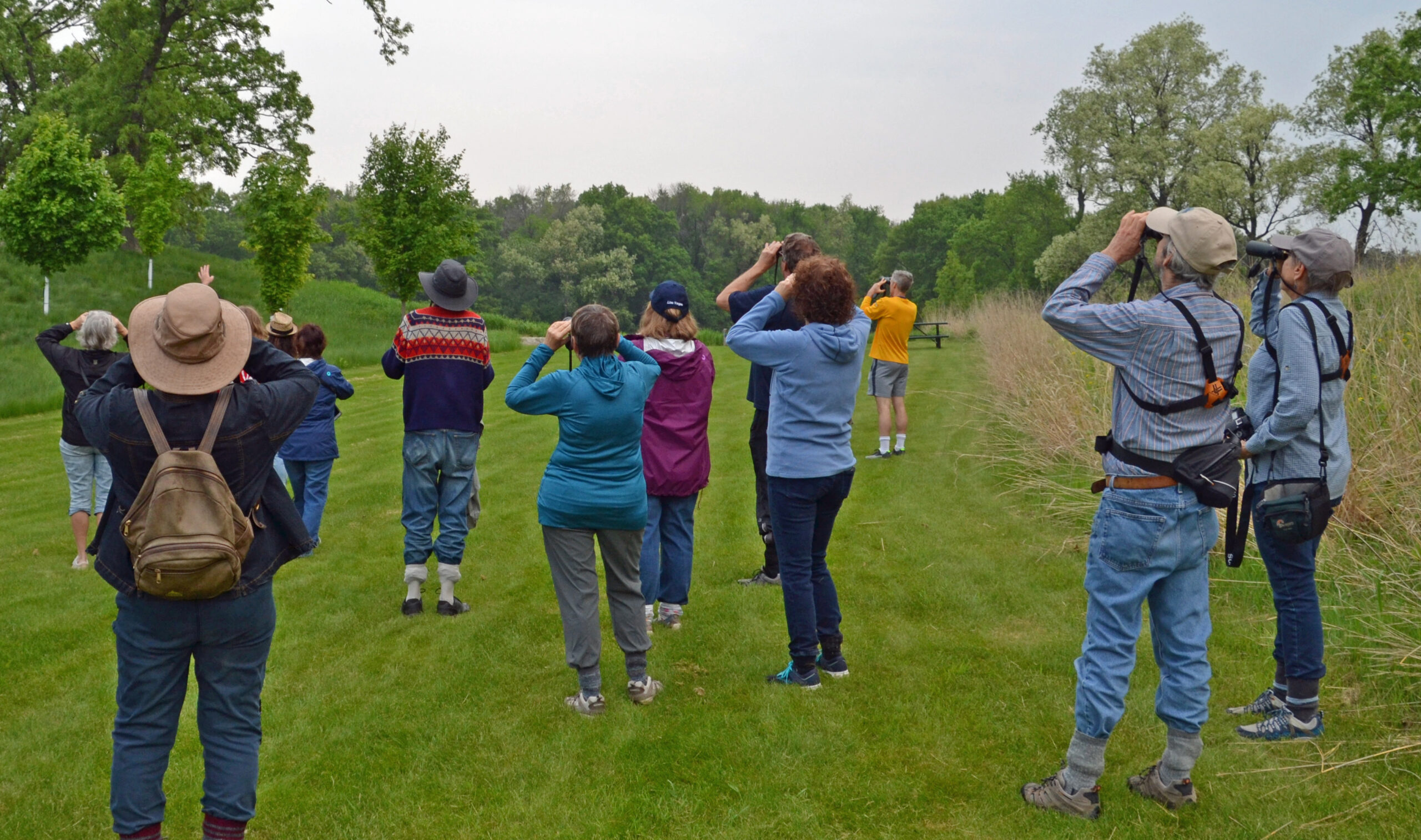 Bird-Watching-in-Late-Spring-Janie-Starzewski