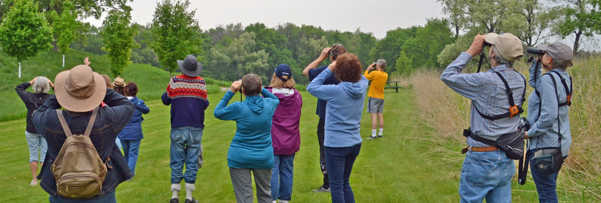 banner-Bird-Watching-in-Late-Spring-Janie-Starzewski