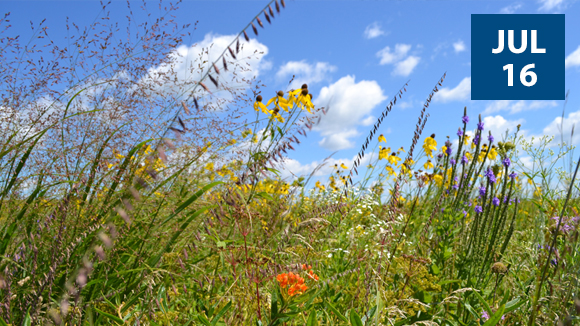 prairie-tour-2023