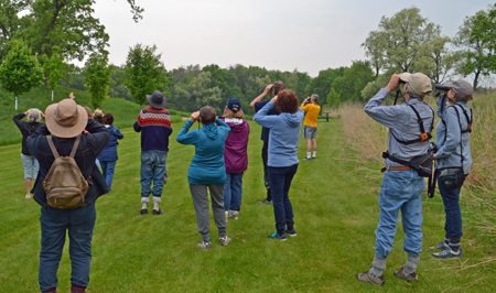 sm-Bird-Watching-in-Late-Spring-Janie-Starzewski