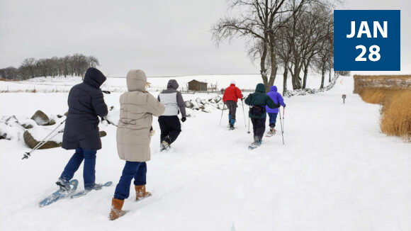 winter-walk-2023-jan-28