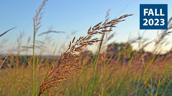 seed-collection-banner